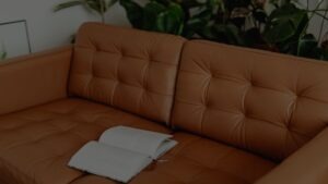 leather couch