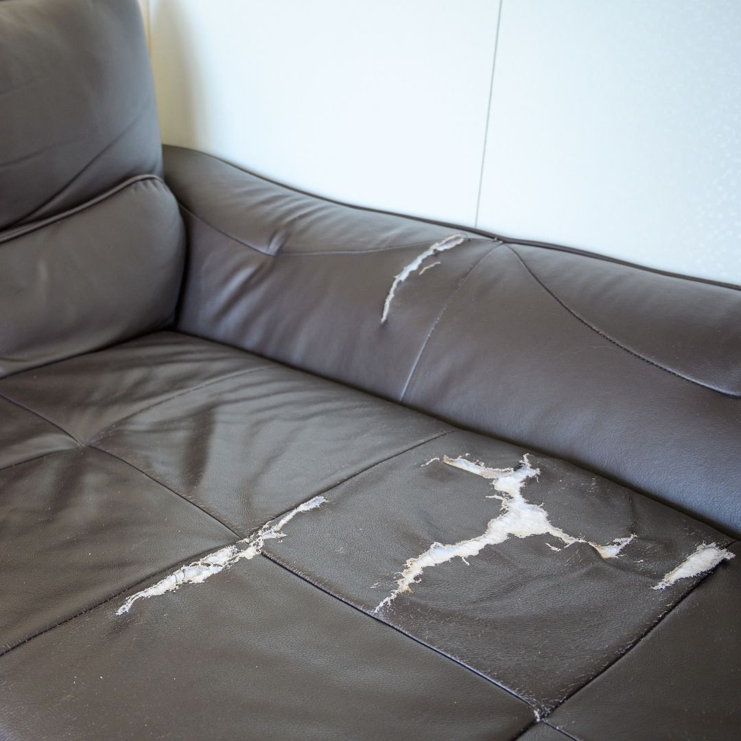 hole and tears in leather couch